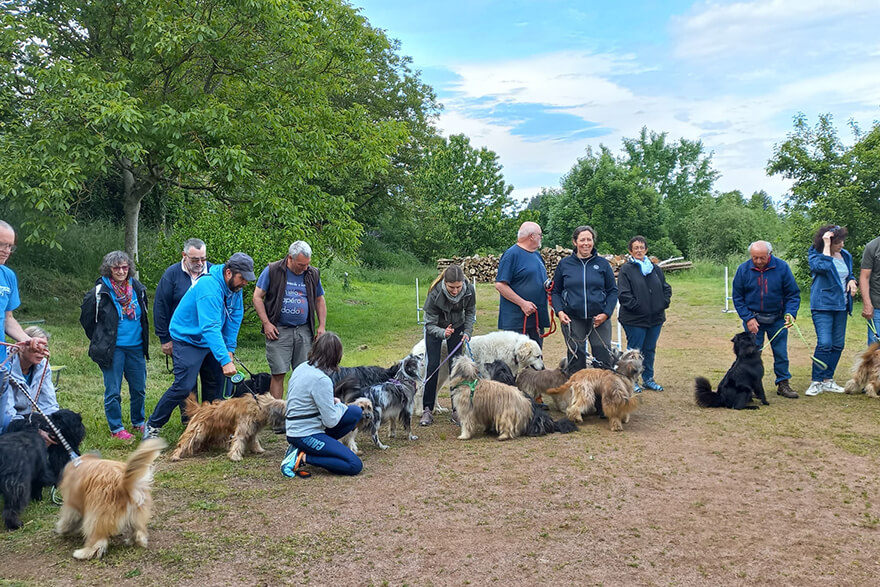 Le camping du lac de Saint-Point-Lamartine en Bourgogne accueille les chiens